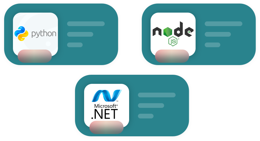 Software Solutions 